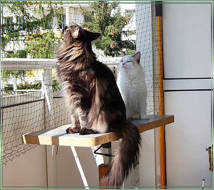 abDSC_0079