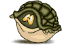 animal_1
