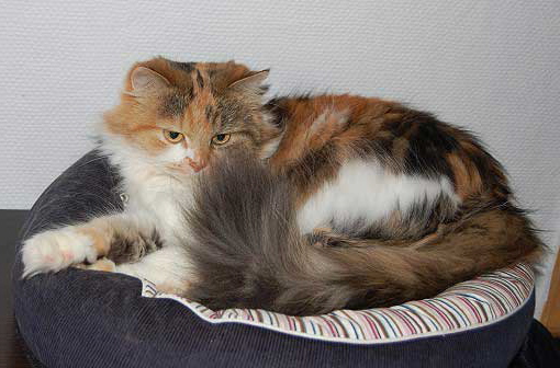 februar2008-016a