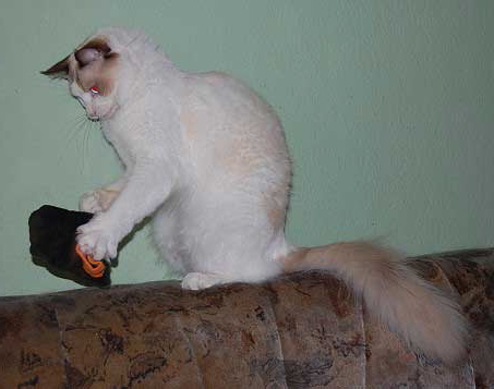 februar2008-029a
