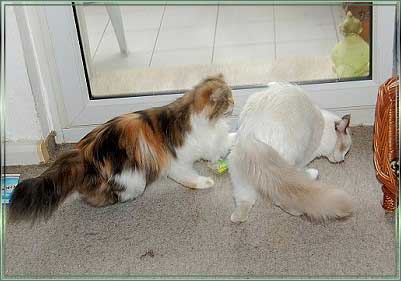 bDSC_0412