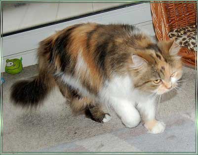 bDSC_0413