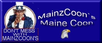 banner-mainzcoon2