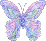 btterfly052
