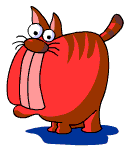 cat_105