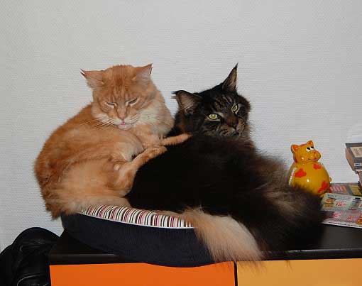 februar2008-001a
