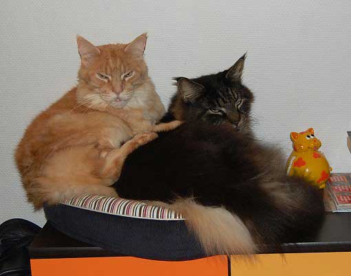 februar2008-002a