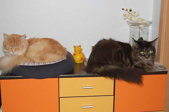 februar2008-006a