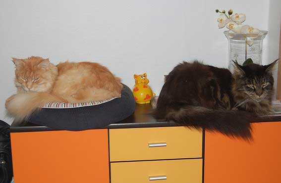 februar2008-008a
