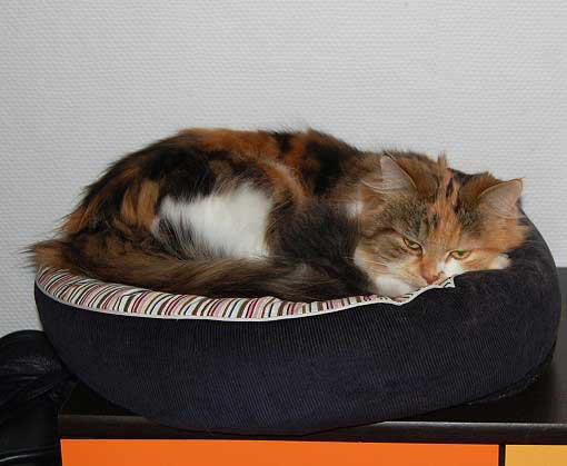 februar2008-009a