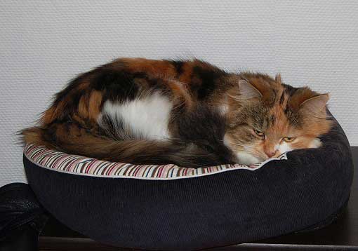 februar2008-010a