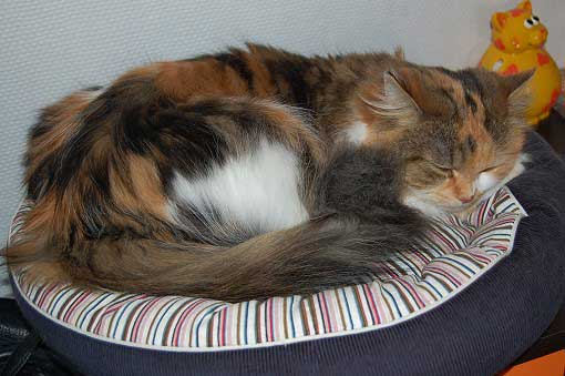 februar2008-011a