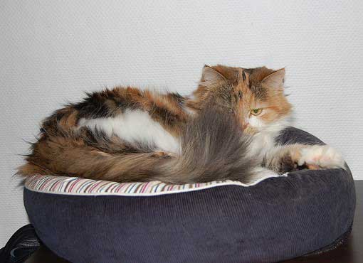 februar2008-017a