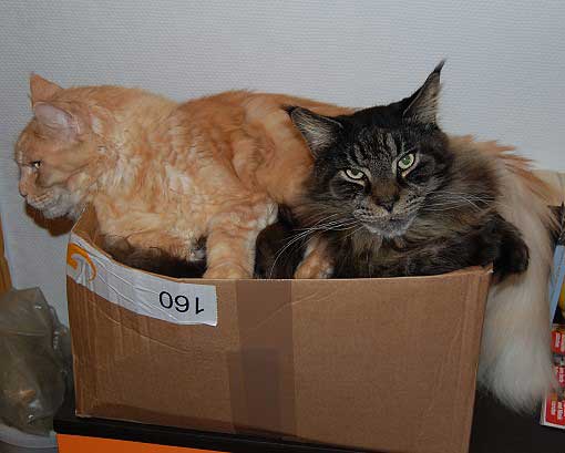 februar2008-022a