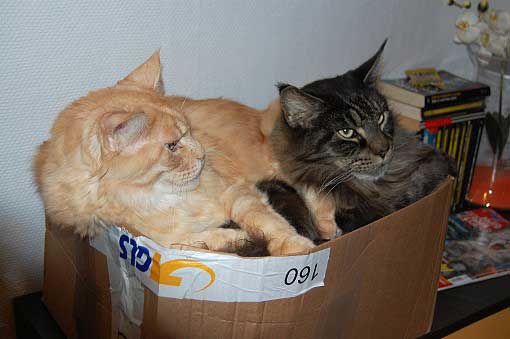februar2008-023a