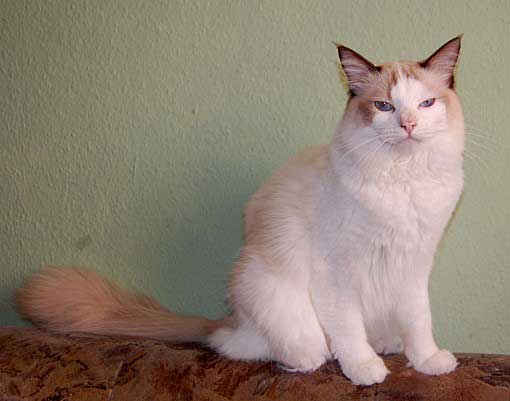 februar2008-027a