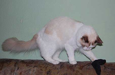 februar2008-028a