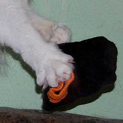 februar2008-029a2