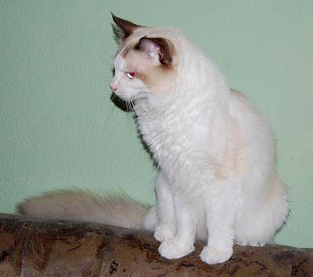 februar2008-032a