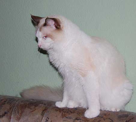 februar2008-033a