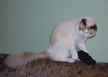 februar2008-037a
