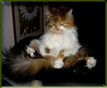 franny2