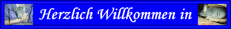 katja-banner1