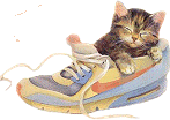 katze322 katze322