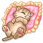 katze_246