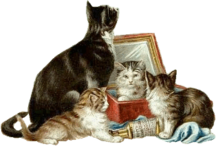mom_kitties