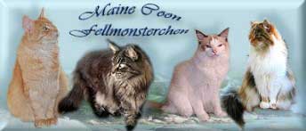 monsterchenbanner