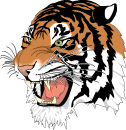 tiger2