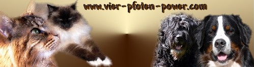 vppbanner207
