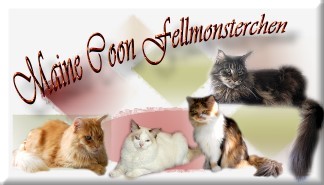 weisserbanner